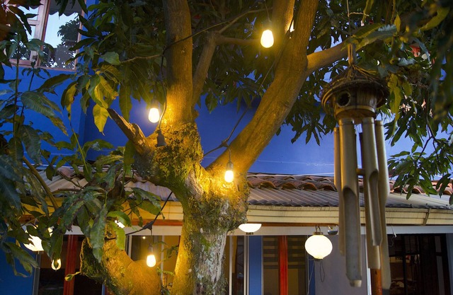 Oasis in the city Apartment A