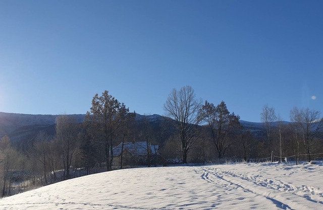 Oasis with the Scheekoppe as a neighbor (pet-friendly)
