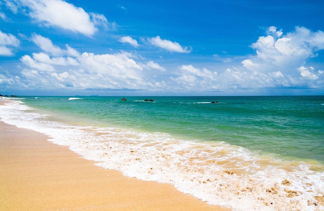 Ocean's Edge