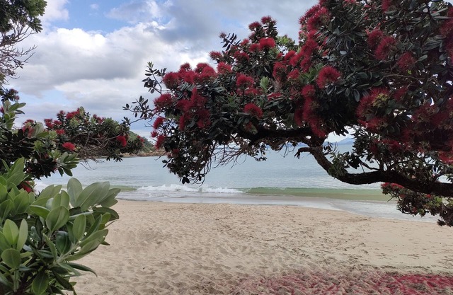 Ocean View At Whangaumu Bay.npeaceful Bush and bay Views, Privately Positioned
