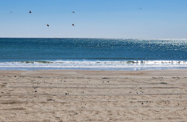 Oceanfront complex, two pools, beach access, and king bed!