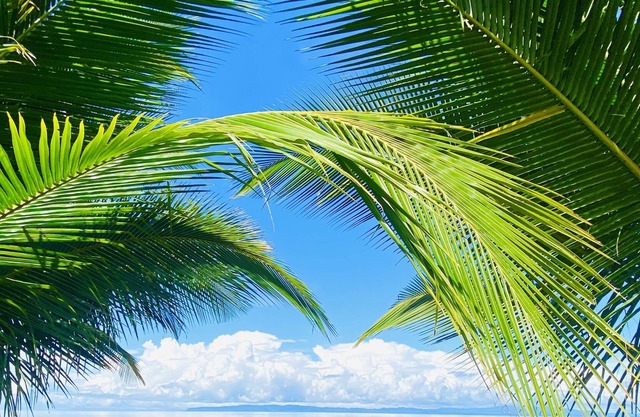 oceanfront oasis with private pool, AC- sleeps 14