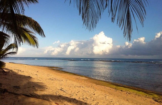 🌴OCEANSIDE HOME! Choose 2,3 or 5 bedroom home,VERY Private SHACKS BEACH here