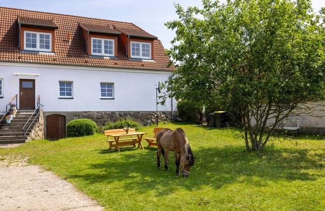 OFC 31 Familie Harz 2 - Ferienwohnung Flori´s Ponyhof