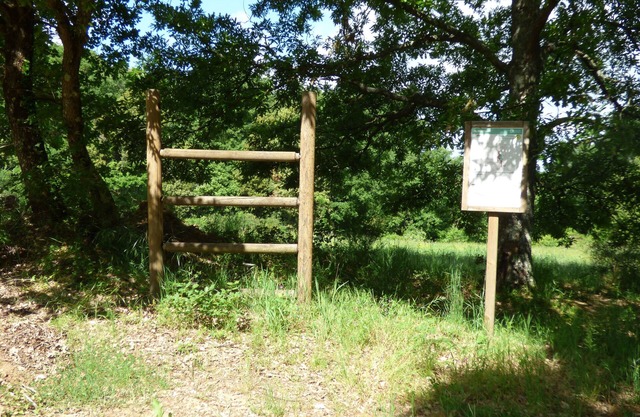 Old Casale in a Huge Country Side in Peace and Relax, Between Umbria and Tuscany