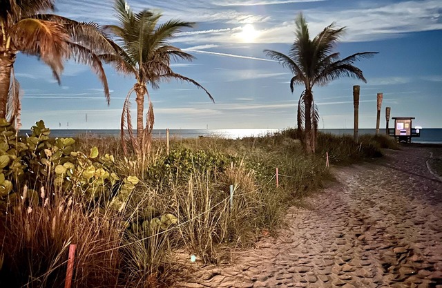 On Cocoa Beach beach 2bd, 2 bath, condo kitchen, dining and living roomnSleeps 6