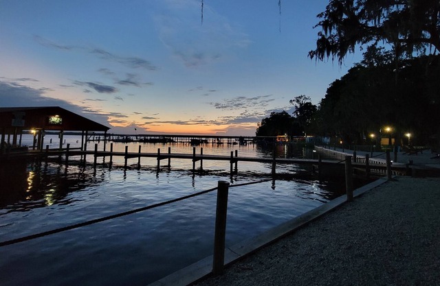 On Lake George & St Johns River #14