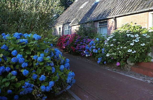 Onder De Eiken by Interhome