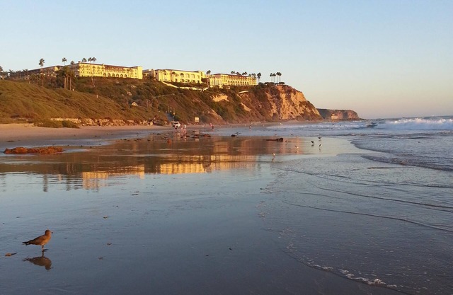 One Bedroom Steps from Beach Condo