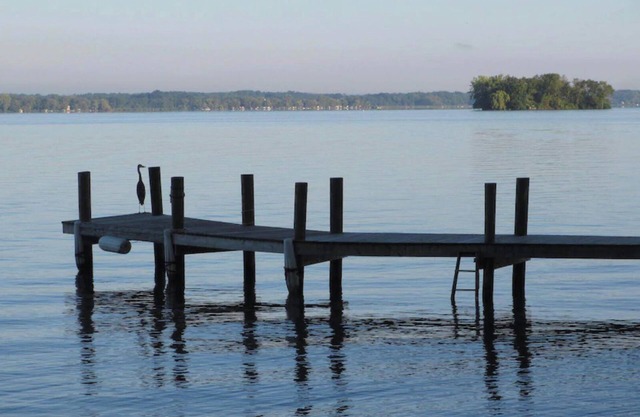 One of the most beautiful spots on east side of Cayuga Lake. New renovation.