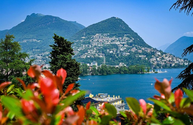 One & Only Lake View Apartment