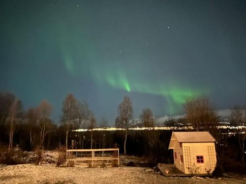 Oppdag Tromsø fra vår leilighet!