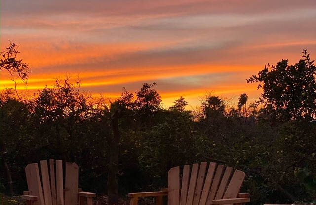 Orchard walks + Sunset views