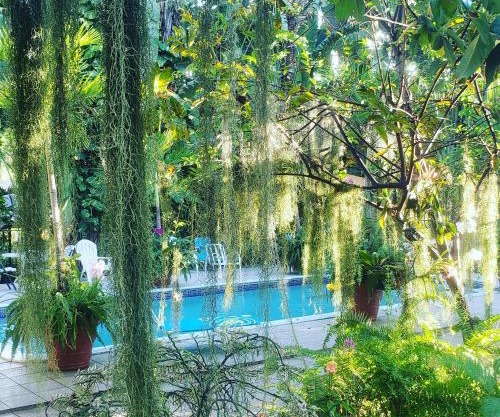 Orchid Cottage
