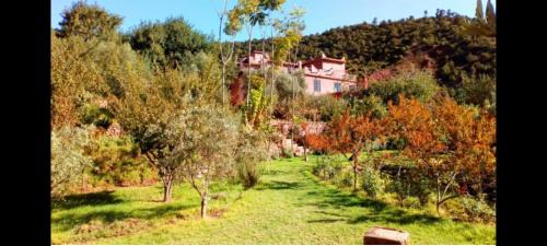 Ourika Timalizène le jardin des délices