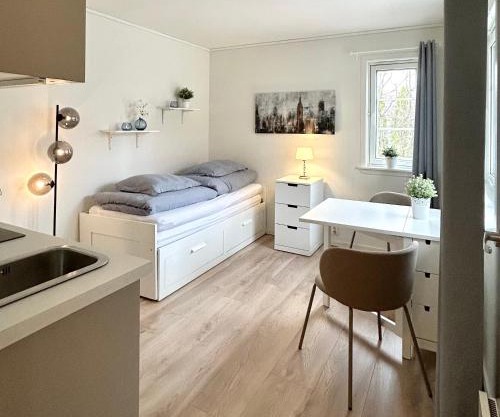 Påskeferie! Fin og nyoppusset studioleilighet for to - gratis parkering og el-lading