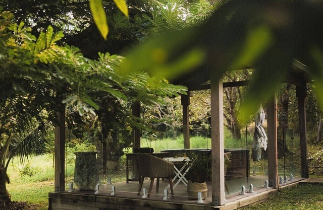 Palm Grove Rainforest Retreat