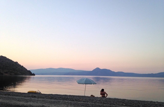 Palm tree house by the beach