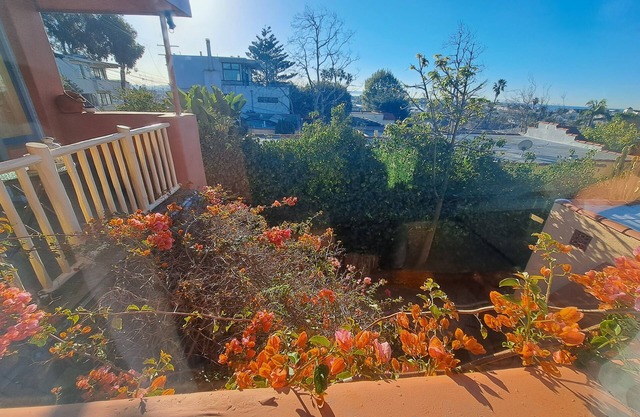 Palm trees ocean breezes and walk to the sand