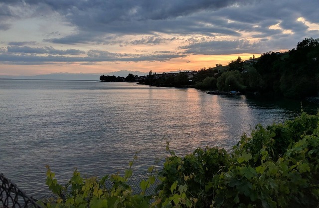 Panoramic views of the lake in the middle of the wine country