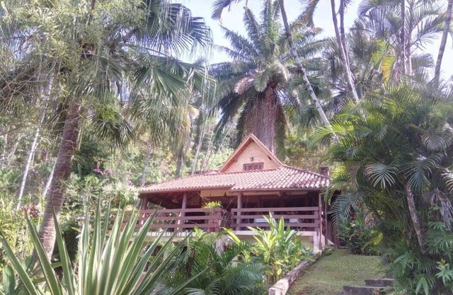 Paradise. Beautiful view of the ocean!