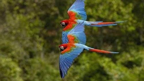 Park Veredas Apto 334