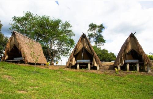 Parque del Mango Tipis
