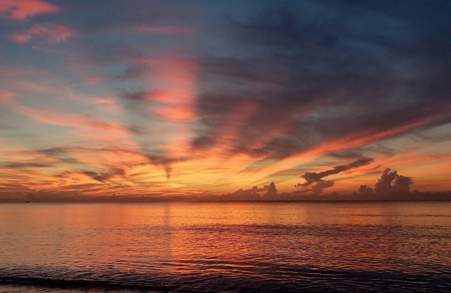 Patio Luna Fort Lauderdale Modern, 3 bedroom, 3 bathroom! NEW and Fully Stocked!