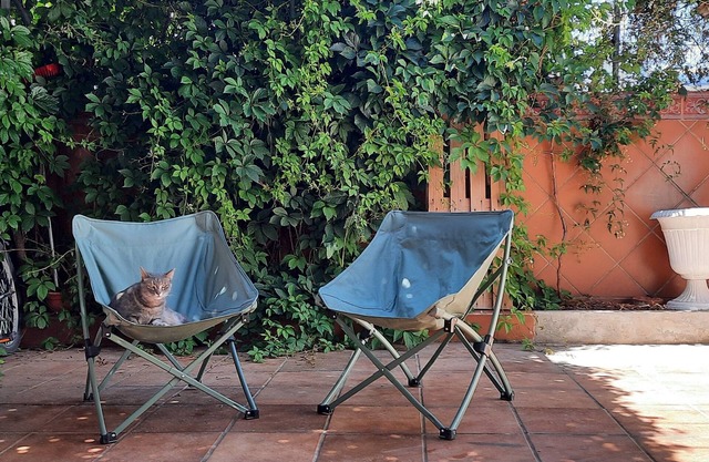 Patio Tipique Andalous, à 10 mnt de L'alhambra, Animaux de Compagnie Acceptés