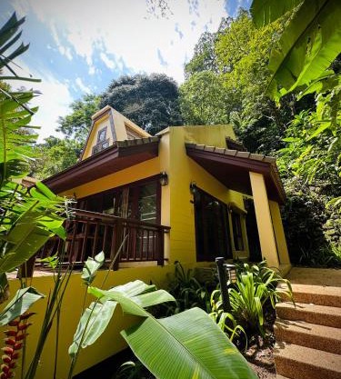 Patong Beach森林屋111