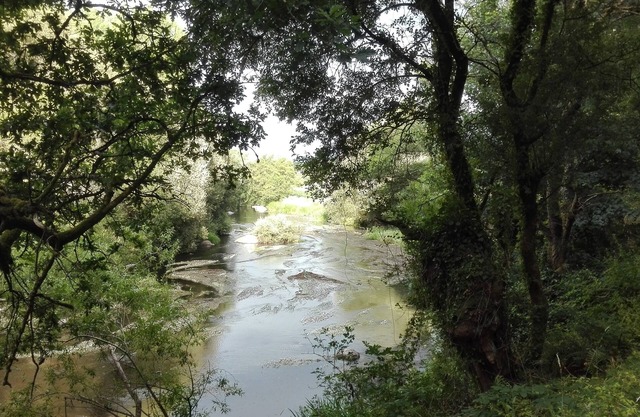 Pazo de Neira - Lareira