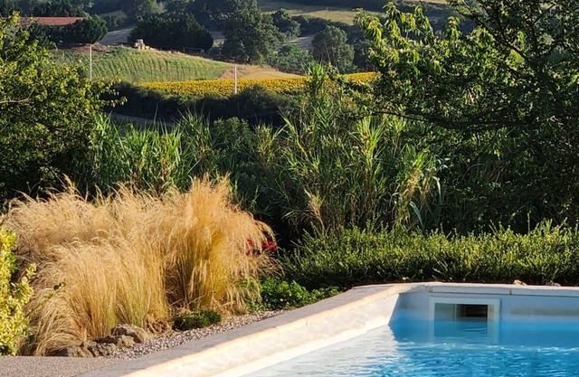 Peaceful gîte in the heart of nature with large swimming pool and view of the Pyrenees.