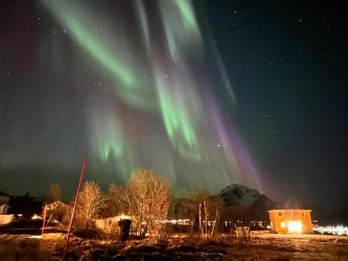 PederStua, a classic fisherman's farm house in the middle of Lofoten