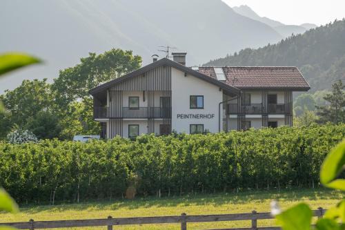 Peintnerhof Appartments & Zimmer