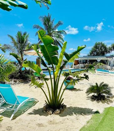 Pension Irivai appartement "Uparu" 1 chambre bord de mer