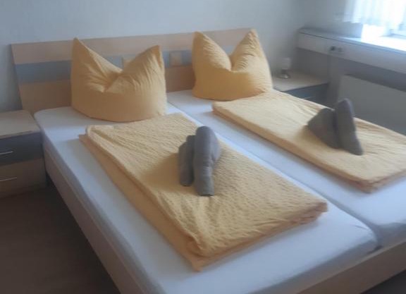 Pension Savo