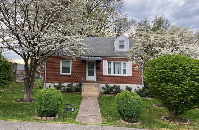 Pet Friendly Cape Cod House