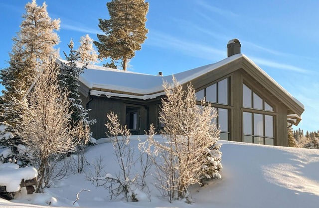 Pet friendly home in Gålå with kitchen