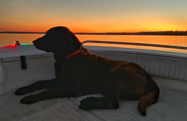 Pet Friendly house on Fish River, private pier with kayaks