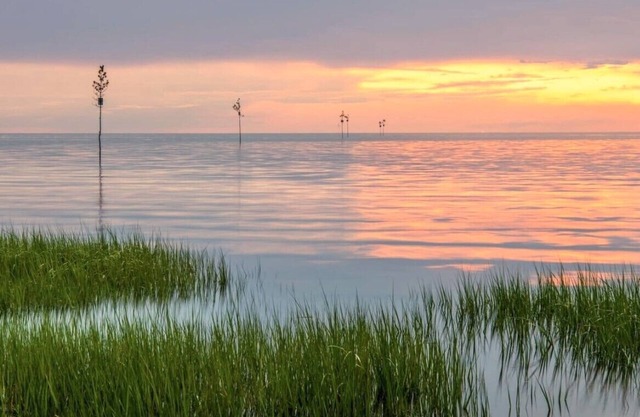 Pet Friendly, Minutes to Beaches, Golf, Dining, Shopping, With Linens (2396)