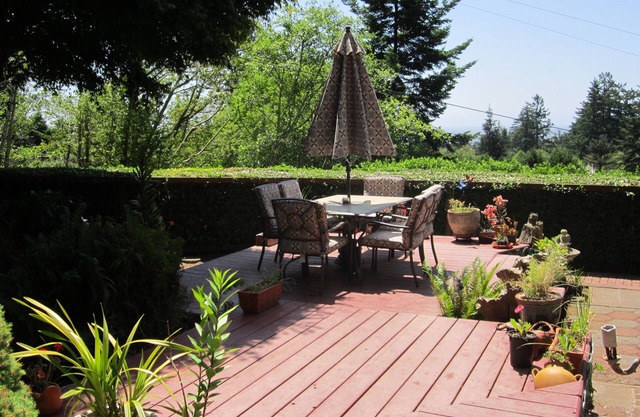 Pet Friendly, Private Home With Garden-Like Yard- WINTER RATE SPECIALS!