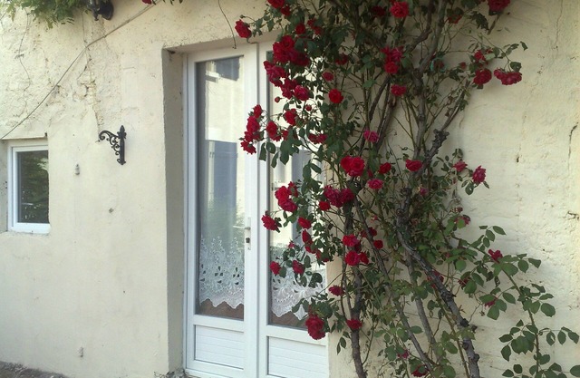 Petit Cerisier (1 Bedroom - sleeps 4)