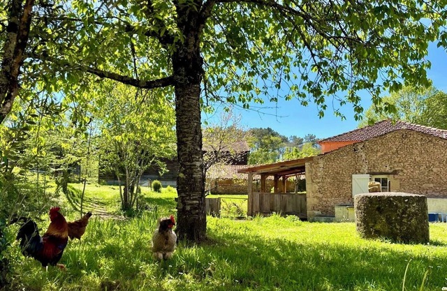 Petit Maison a la Ferme; Terrasse Couvert, Jacuzzi, Cuisine Exterieur