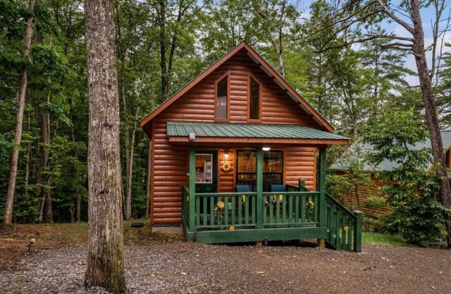 Pets Welcomed at this Colorful & Cozy Sunflower Cabin!