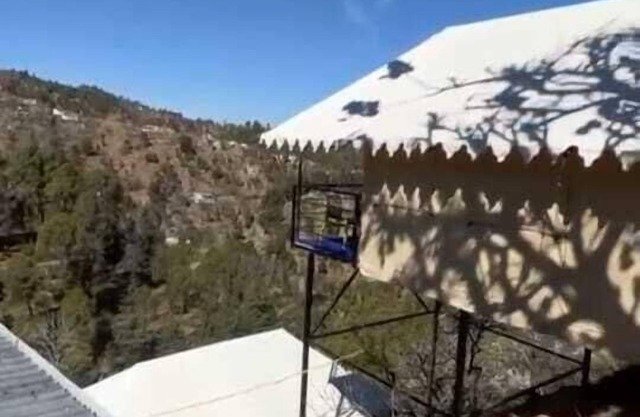 Pine pioneer the eco resort