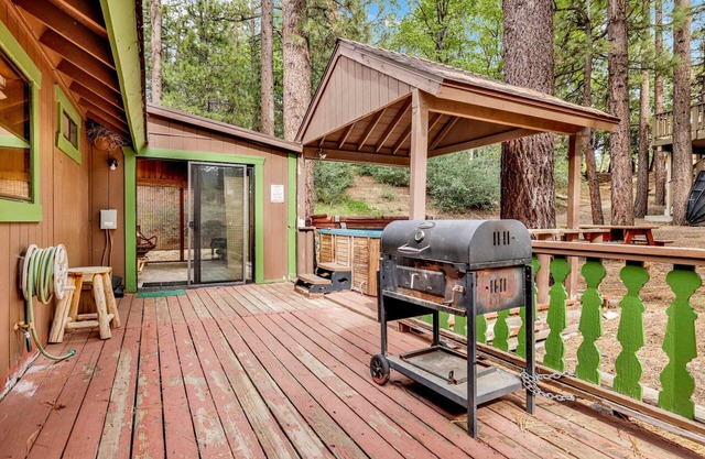 Pines AND Needles #1454