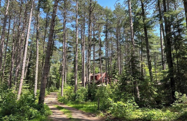 PINEY WOODS RETREAT in ELY, MINNESOTA