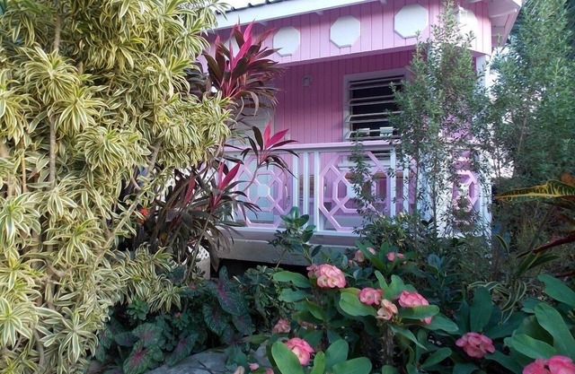 PINKSHACK STUDIO COTTAGE IN JUNGLE THEMED PATIO GARDEN
