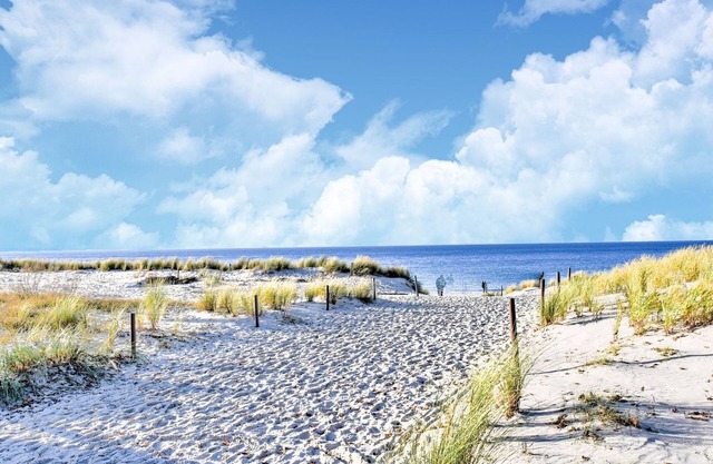 Pleasant Apartment in Behmkenhagen with Terrace