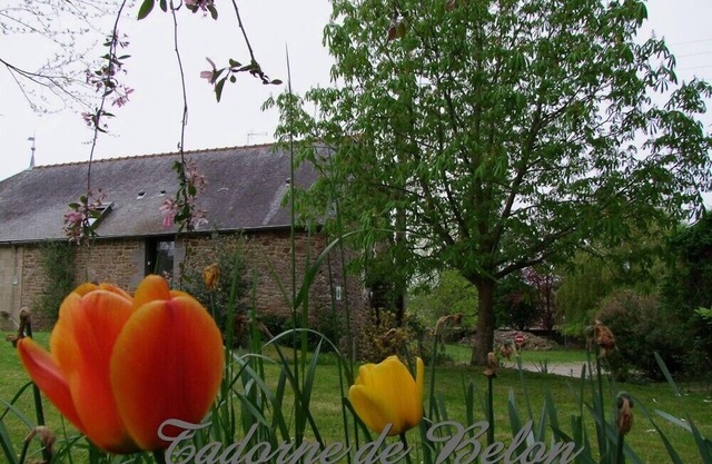 Pleudihen/Rance between St Malo and Dinan Stone house 2 ears 1-2 pers QUIET